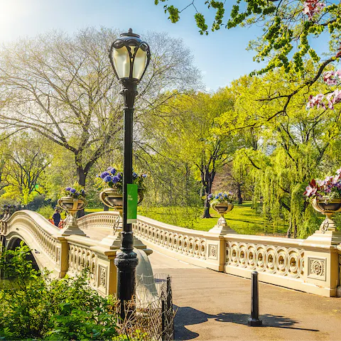 Reach the winding paths and green spaces of Central Park in seven minutes on foot