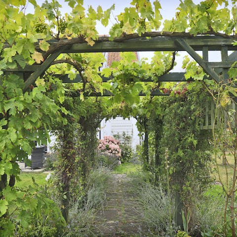 Follow the vine-covered walkway to dining on the lawn in the private garden