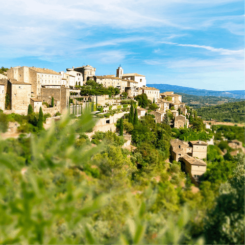 Explore your surroundings to find the best produce the Provence has to offer