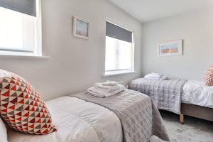 Puffin Haven image 4