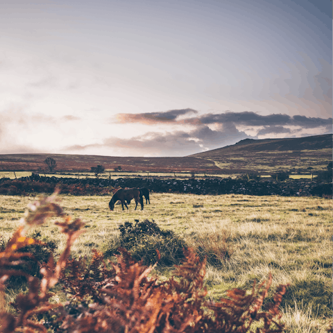 Venture outside the city and discover the unspoiled landscapes of nearby Dartmoor