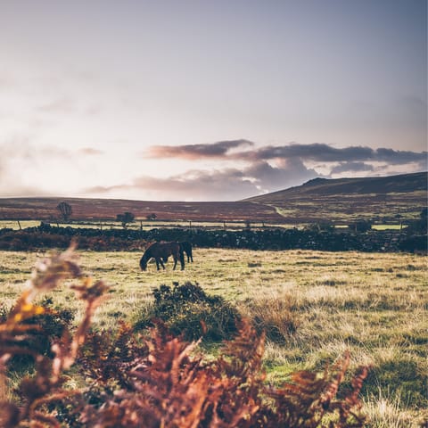 Venture outside the city and discover the unspoiled landscapes of nearby Dartmoor