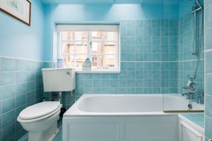 Life in Pimlico image 8