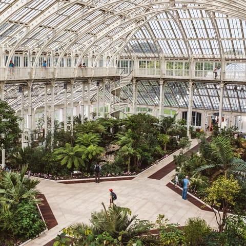 Pay a visit to the nearby Kew Gardens and its massive plant collection
