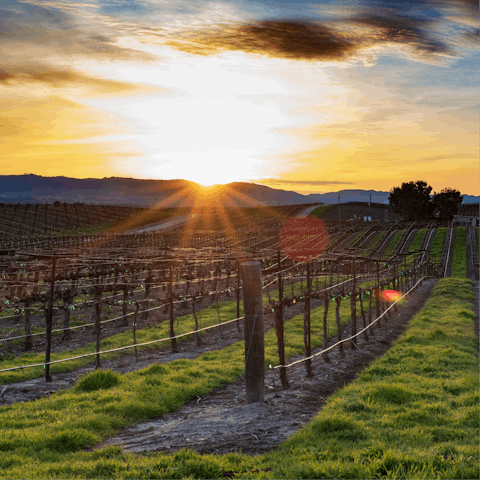 Stay in a stunning part of California, known for its vineyards – your home is a ten-minute drive from Paso Robles