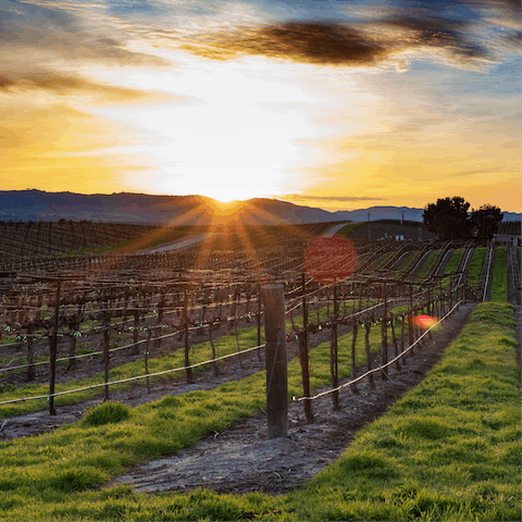 Stay in a stunning part of California, known for its vineyards – your home is a ten-minute drive from Paso Robles