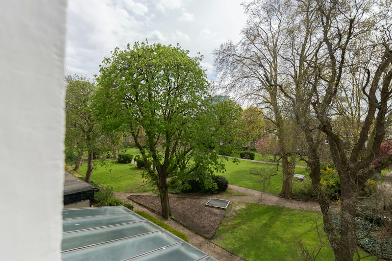 The Secret Garden additional image