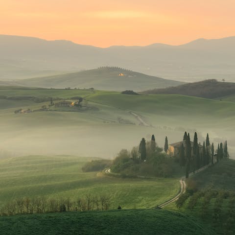Explore the lush Tuscan countryside, with its vineyards and rolling hills