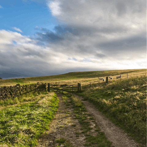 Stay on the edge of the North Yorkshire Moors National Park, filled with walking trails