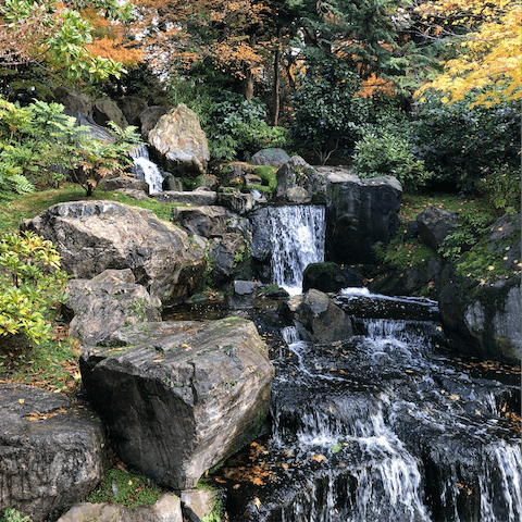 Find peace and serenity in the Japanese gardens of Holland Park
