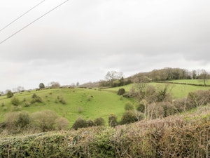 Field View image 12