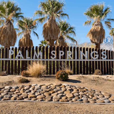 Drive into Downtown Palm Springs for an afternoon of gallery-hopping followed by cocktails