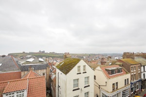 Amari image 4