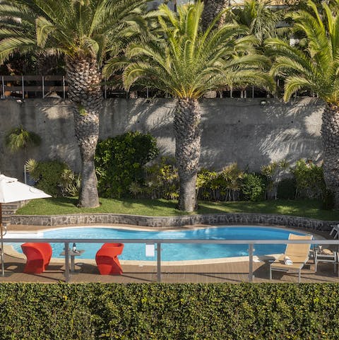 Enjoy a relaxing swim beneath the shade of the palm trees