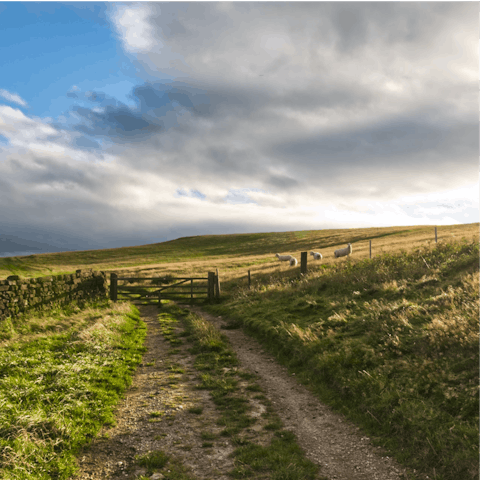 Pull on your boots and walk the North York Moors, just 16 miles away