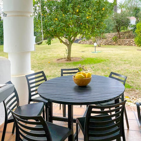 Gather around the terrace dining area for lunches by the citrus tree