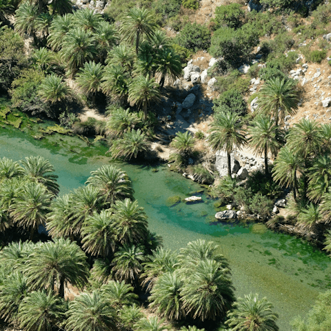 Explore some of Crete's most famous natural beauty spots like Preveli Beach