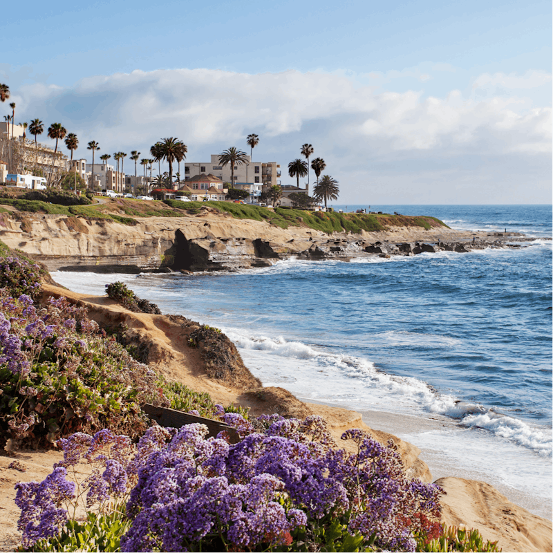 Arrive at the waters of La Jolla Shores within minutes