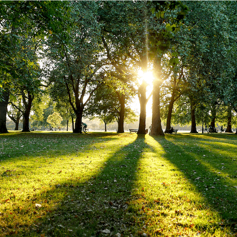 Take your morning stroll through Hyde Park, just a five-minute walk away