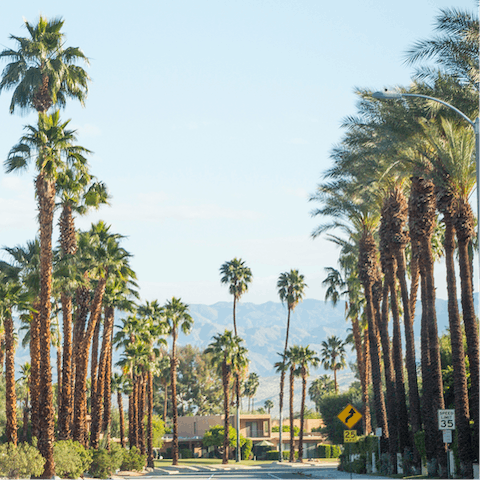 Reach Palm Canyon Drive in just a few minutes