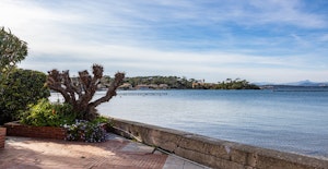 Coastal Sunshine image 13