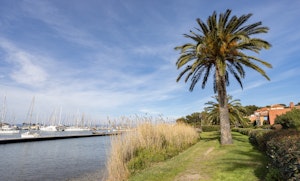Coastal Sunshine image 9