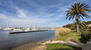 Coastal Sunshine image 3