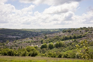 Buttercup Meadow image 11