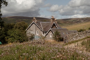 Hedgerow & Yarrow image 1