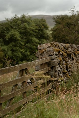 Hedgerow & Yarrow image 6