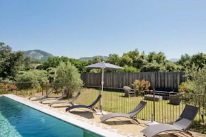 The Hilltop Vineyard image 10