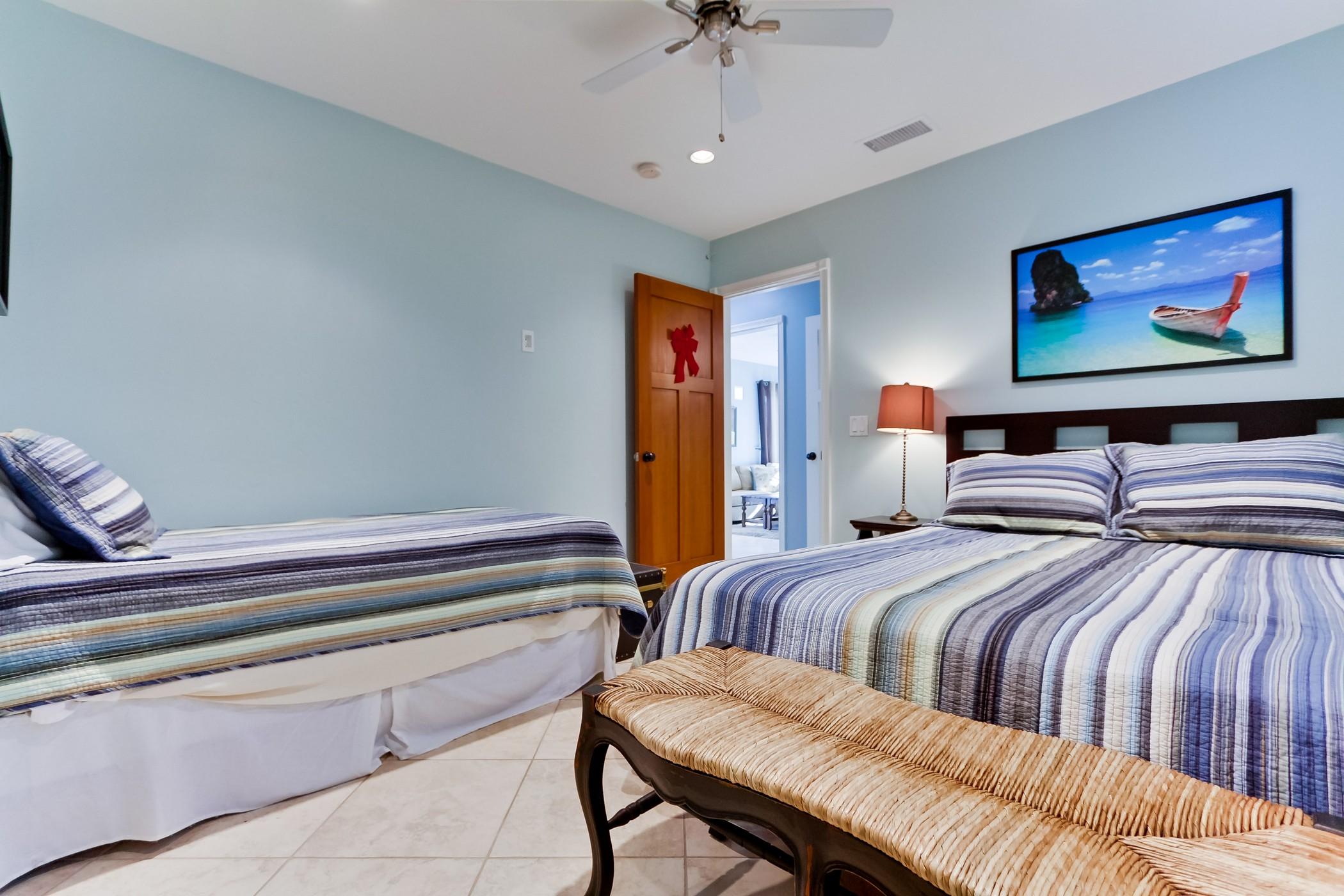 Little Blue in San Diego