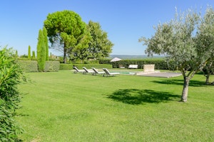 Lavender Country Views image 7