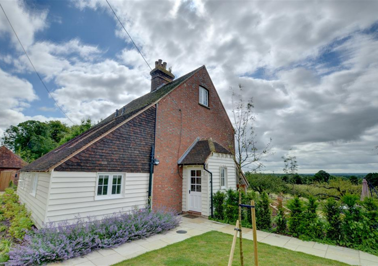 Spindle Flower, Kent, England Plum Guide