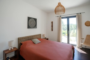 Provence Pine image 8