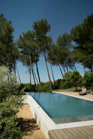 Provence Pine image 4