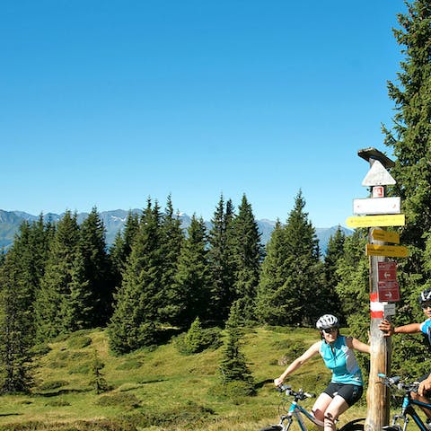 Explore the picturesque mountain trails by hiring a bike 