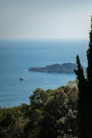 Azure Amour image 4