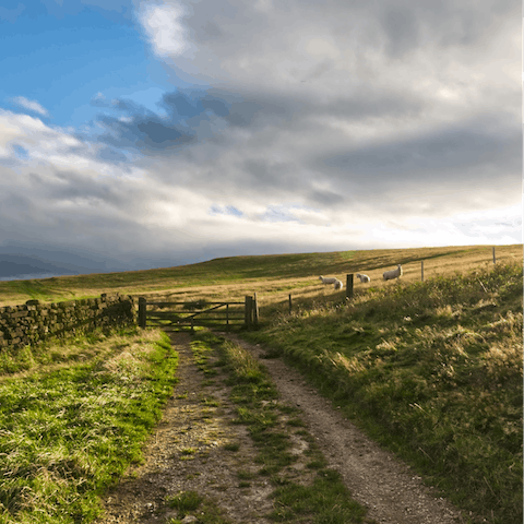 Roam through Yorkshire's unspoilt beauty – North York Moors National Park is about a thirty-minute drive away