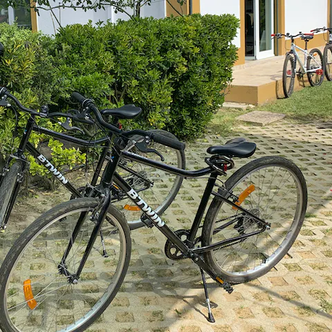 Take advantage of the free bikes to explore the beautiful nature of Lagoa de Albufeira