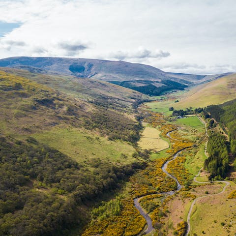 Put your boots on and explore the circular Hillfort Trails in the College Valley