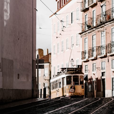 Hop on the tram for a scenic trip around the city's sights