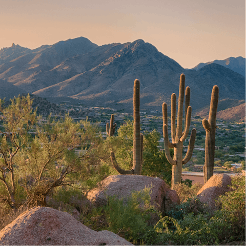 Hike the nearby Dixie Peak