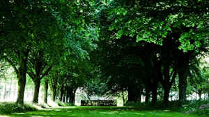 The Fitz Mansion image 10