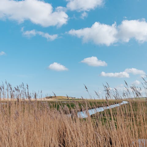 Explore the quiet beauty of The Broads on waterside walks, or hire a boat for a whole new perspective