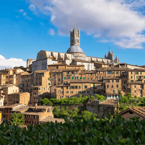 Drive twenty minutes to explore the streets of Siena 