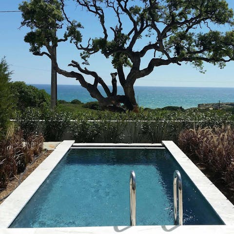 Take a dip in the private pool while looking out to sea