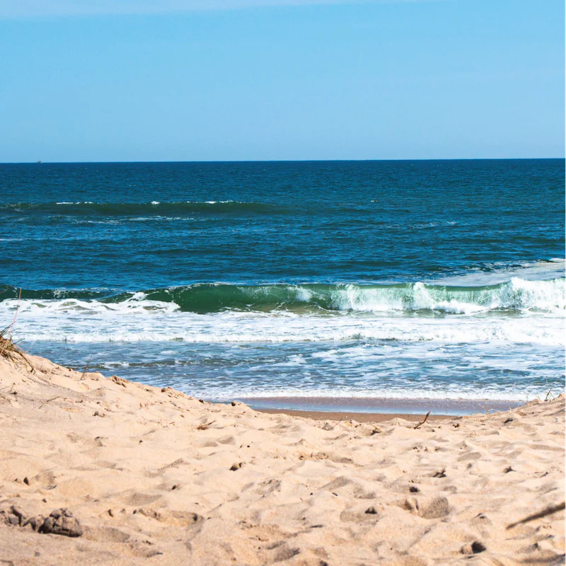 Reach the sandy shores of Flying Point Beach in just ten minutes by car