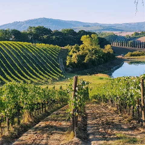 Explore the vineyards in Greve in Chianti – it's a twelve-minute drive