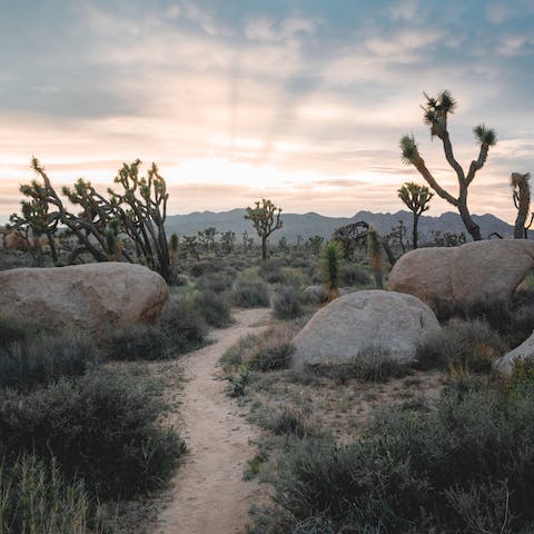 Take the eight-minute drive to the Joshua Tree National Park west entrance and hike to Skull Rock  
